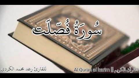 سورة فصلت كاملة بصوت هادئ للقارئ رعد محمد الكردي || القرآن الكريم