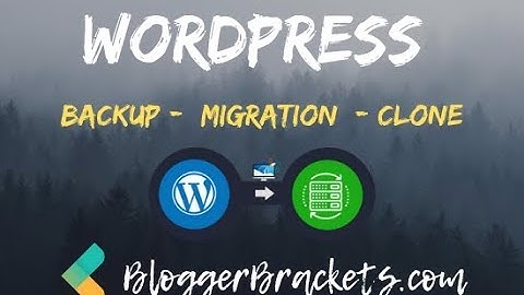 How to Migrate / Transfer / backup of your Wordpress Website 2019 in Urdu / Hindi
