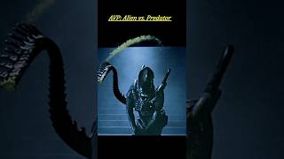 Alien vs. Predator (2004): Ultimate Clash – The Hunter Becomes the Prey!