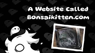 A Website Called Bonsaikitten.com