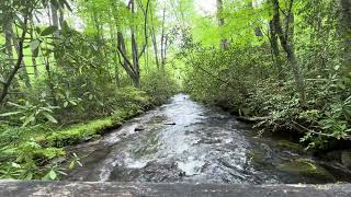 Great Smoky Mountains Backcountry 41 Creek