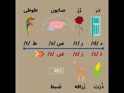      1 ذ ز ظ ض