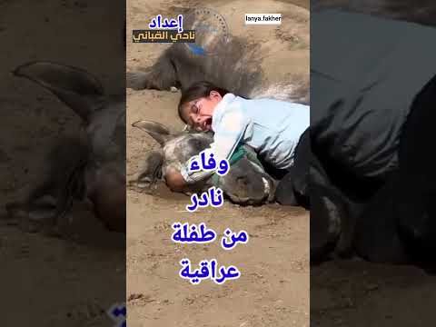 قصة مؤثرة في وداع حصان بكاء طفلة كردستان لانيا فاخر يهز العالم 