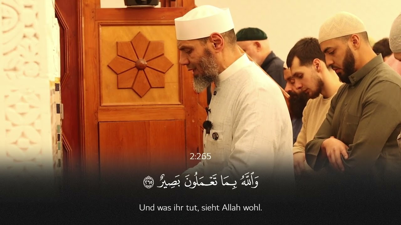 صلاة التراويح للشيخ محمد كليب ليله 3 رمضان - سورة البقرة Baqarah 253-286 | Sheikh Mohamed Koleib