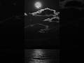 Silence And Calm Yooni Neshoni TikTok Beat Arabic Trap Beat Silence And Calm Yooni Neshoni TikTok Beat Arabic Trap Beat