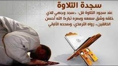 حكم ترك سجود التلاوة -  ش مصطفى