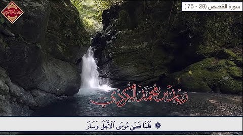 تلاوة خاشعة مبكية جميلة و هادئة من سورة القصص بصوت رعـد بـن محمد الكـردي