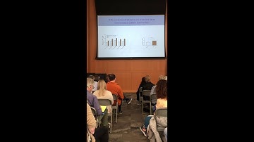 Koen van de Wetering Current Research (PXE Meeting - Part 6)