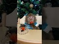 всех с Новым годом!Счастья, удачи, добра!☃️улыбнитесь с Машей!#monkey#mukbang#petmonkey #макака#зоо