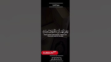 الآية الكريمة من سورة الشعراء