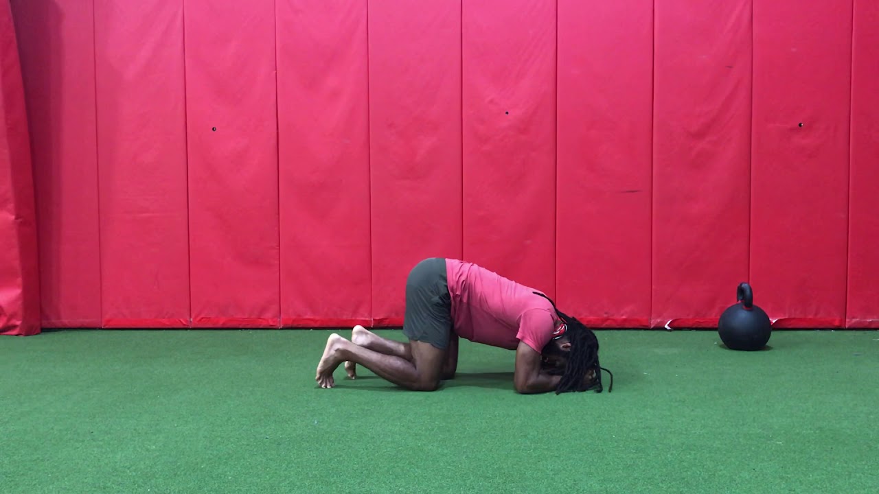 Iso Quadruped Hip Extension + Knee flexion/extension YouTube