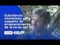 Substância misteriosa gera suspeita de envenenamento de árvores em SC | Cotidiano | Tá Na Hora SC