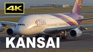 [4K] Pray for the revival of Thai Airways! Boeing 747, Airbus A380 at Kansai Airport / タイ航空 関西空港