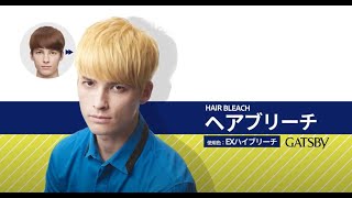 ブリーチ剤 ナチュラルブリーチカラー | ヘアカラー | 使い方・商品情報