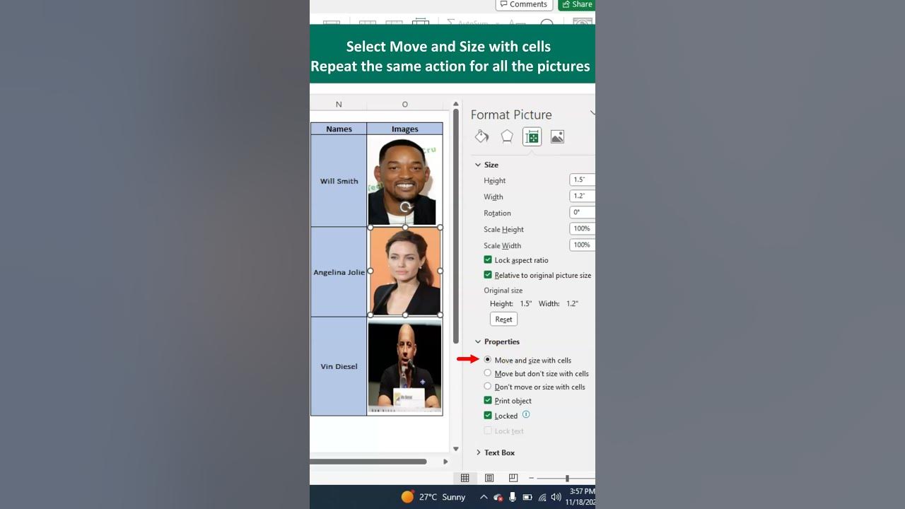 filter-pictures-in-excel-how-to-lock-picture-to-cell-in-excel