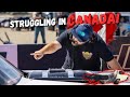 Small Mistakes BIG Problems Struggling With Murder Nova In Canada Small Mistakes BIG Problems Struggling With Murder Nova In Canada