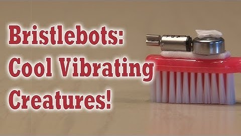 Bristlebots: Cool Vibrating Creatures!