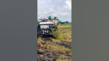 Máy cắt lúa miền Tây Yanmar 82 cắt đất lúng đầu dạt 👍🌾 #1k #2k