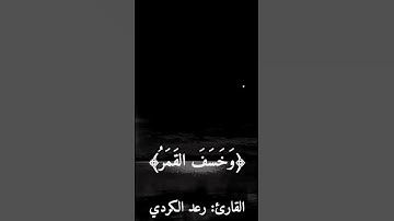قرآن كريم بصوت القارئ: رعد الكردي || أجمل حالات واتس اب دينيه || تلاوة خاشعة 🌿