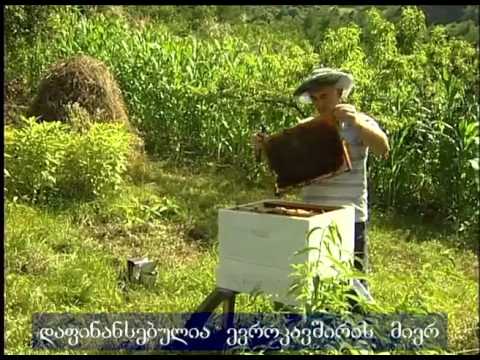 ENPARD-ის გადაცემები 21 რეგიონული არხის მეშვეობით გავრცელდება