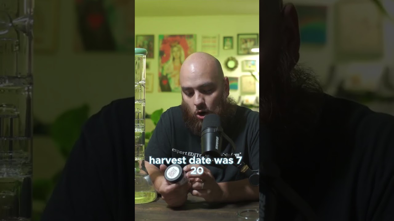 Trying 11 Roses At 22 Percent THC!