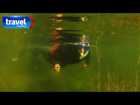 Wideo: Najlepsze miejsca do nurkowania na Martynice