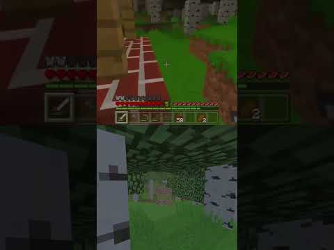 Видео: Что Не Так с Его Миром? #shorts #minecraft