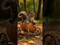 A tiny squirrel driving its own car… 🐿️🍂 #animalstory #automobile  #bond #love #cute