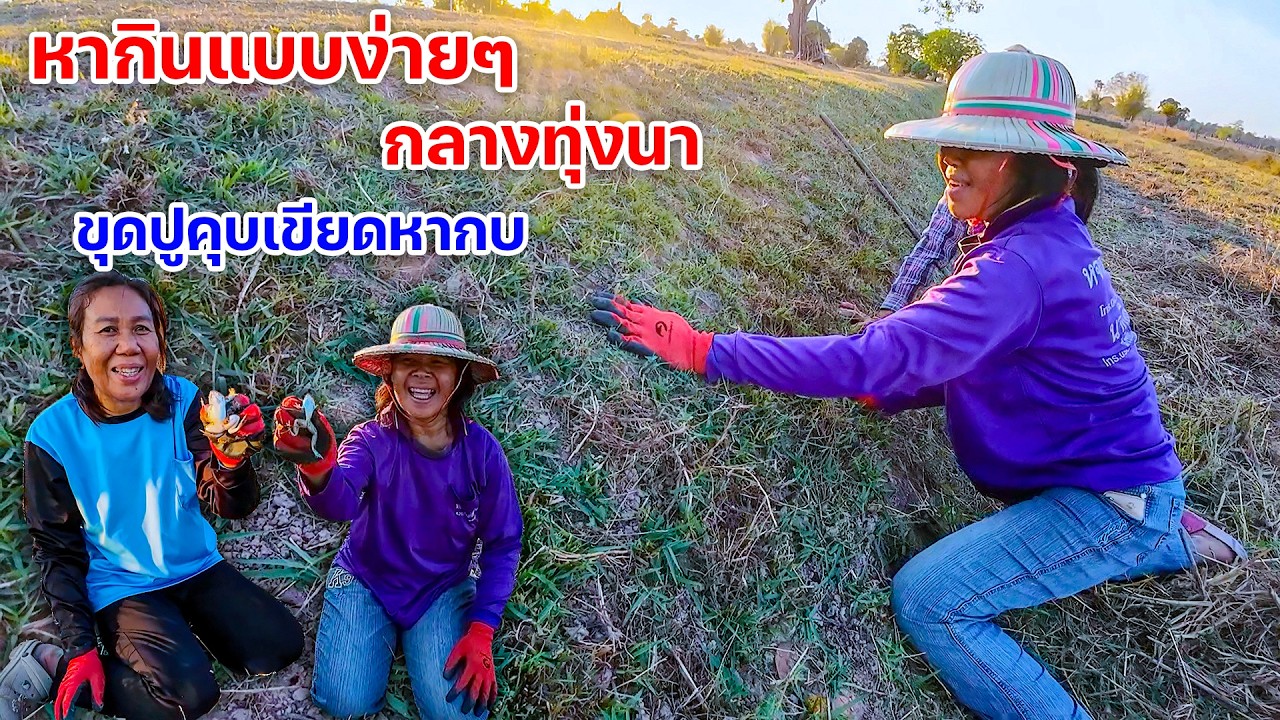 หากินแบบง่ายๆ กลางทุ่งนา ขุดปูคุบเขียดหากบ