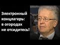 Валентин Катасонов. Электронный концлагерь: в огородах не отсидитесь!