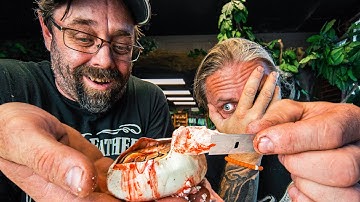 CUTTING HIS FIRST SNAKE EGGS!! NEAR DISASTER!!! | BRIAN BARCZYK