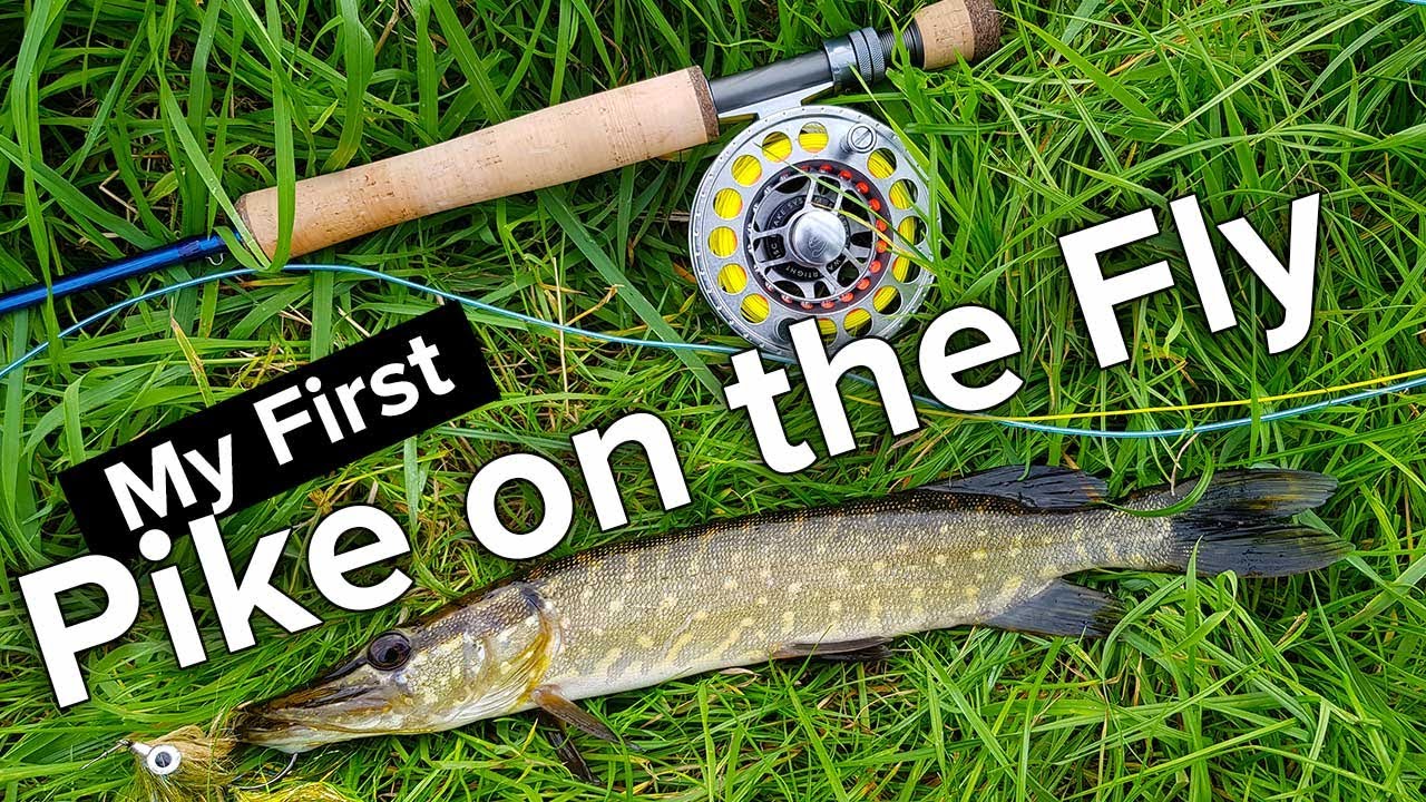 Pike Fly Fishing Me Fly Fishing for the First Time (2020) YouTube