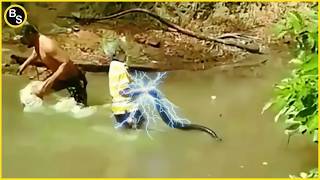 You Have to See the Scariest Real Animal Encounters That Shocked the Internet