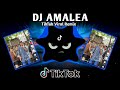 DJ AMALEA X TIKTOK VIRAL DANCE (TIKTOK BUDOTS REMIX) 2026
