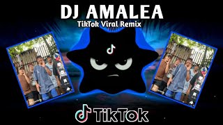 DJ AMALEA X TIKTOK VIRAL DANCE (TIKTOK BUDOTS REMIX) 2026 