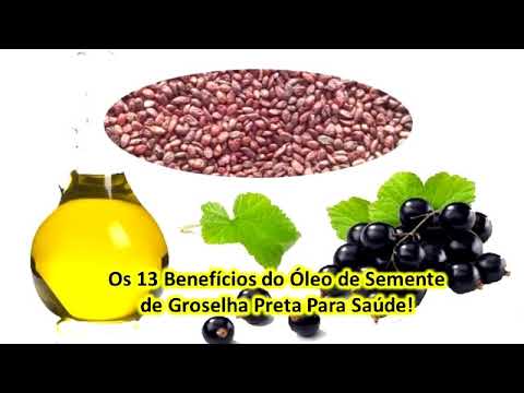 Vídeo: Groselha Preta (51 Fotos): Descrição Dos Frutos, Características Das Folhas E Sistema Radicular. Onde O Arbusto Cresce? Forma De Vida E Família