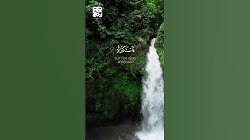تلاوة الشيخ سعد الغامدي لسورة الجاثية الآية 31