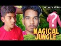 Magical jungle  sujit gupta vines