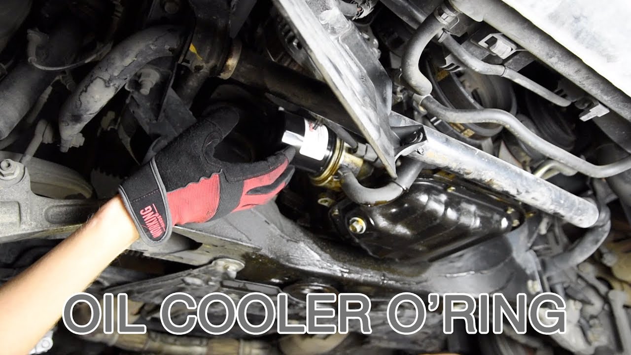 Nissan Oil Cooler O-Ring for VQ35DE (03-06 350z, G35) - Faction Motorsports