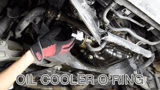In today's video, i show you how to replace the oil cooler o'ring a
2005 infiniti g35 coupe and or nissan 350z with same vq 3.5l engine.
torque wren...