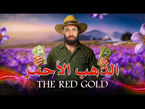 زرعت اغلى نبتة بالعالم