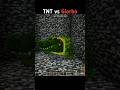 Minecraft : TNT vs Glorbo #minecraft #shorts