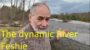 Braided vs Anastomosed Rivers: Geomorphology and Ecology Explained