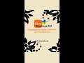 Payoneer Data Verification For Etsy 2026 Answer 69 