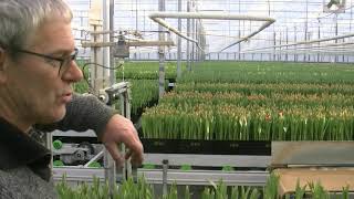 Wireco - Bedrijfspresentatie - Obdam