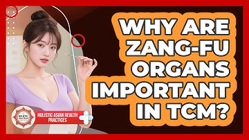 Why Are Zang-Fu Organs Important In TCM? - Holistic Asian Health Practices