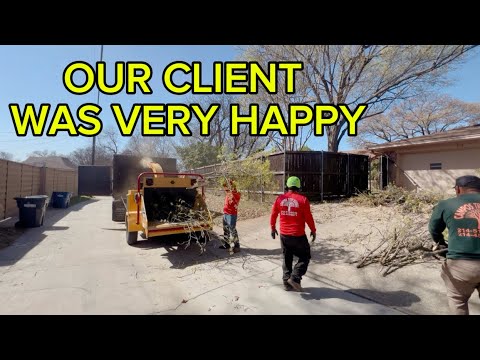 REMOVING BIG LIMB OVER THE HOUSE AND CLEAN TREES - YouTube