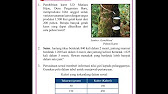 Kelas 7 Perbandingan Ayo Kita Berlatih 5 2 Youtube
