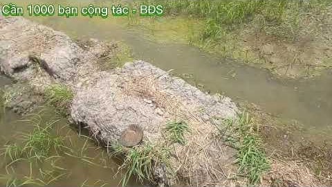 Bán đất Ruộng Kiên Giang - Sóc Trăng - Bạc Liêu - Cà Mau..Lh 0949.677.643