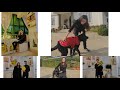 Adopted a dog| Going back to work place| Friend's Birthday.